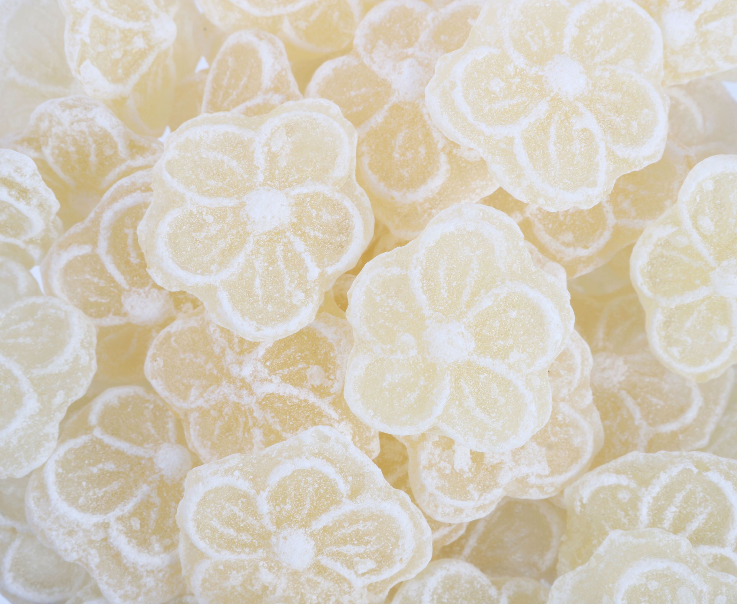 Fleur camomille fleur d'oranger