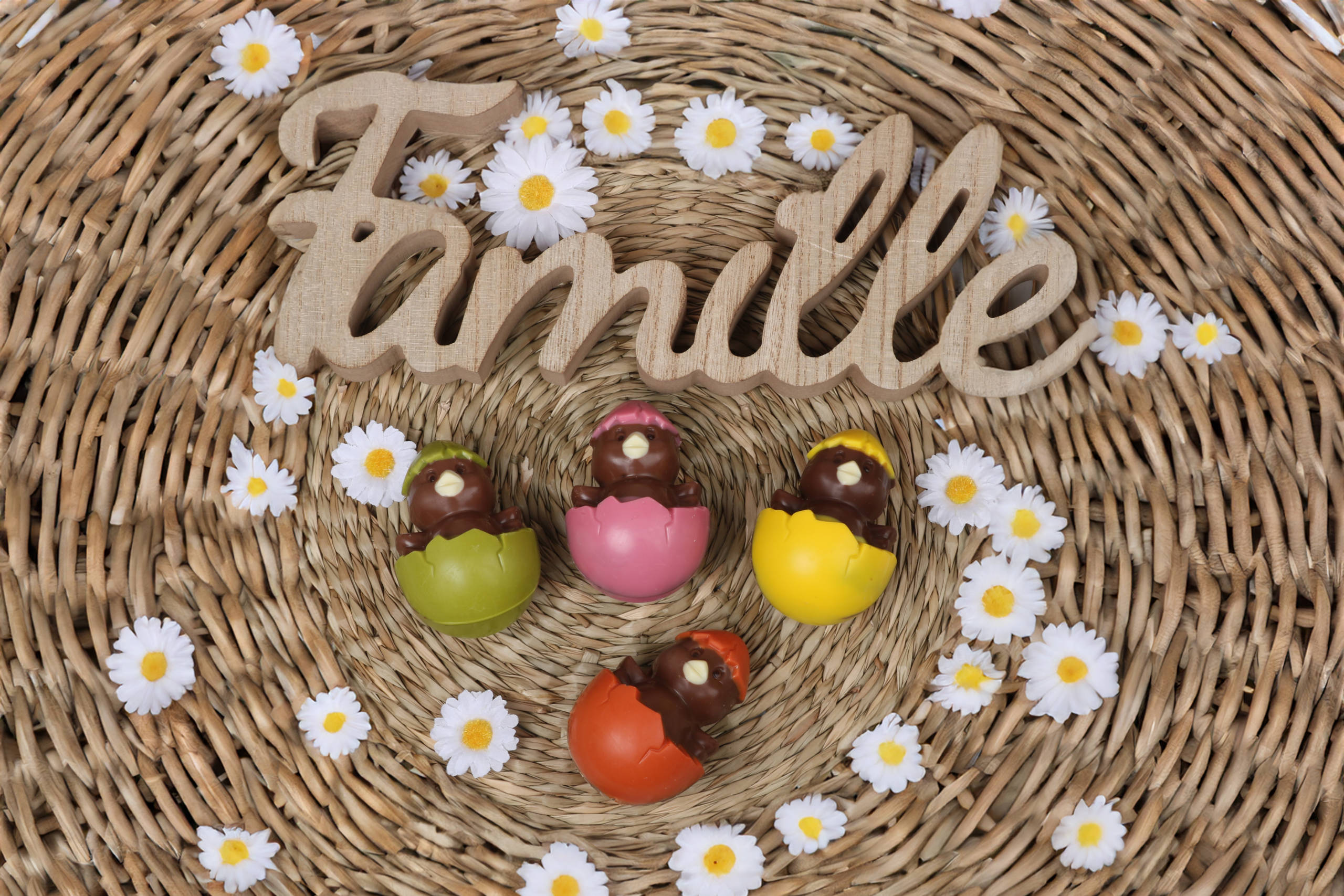 Jolie famille de poussins