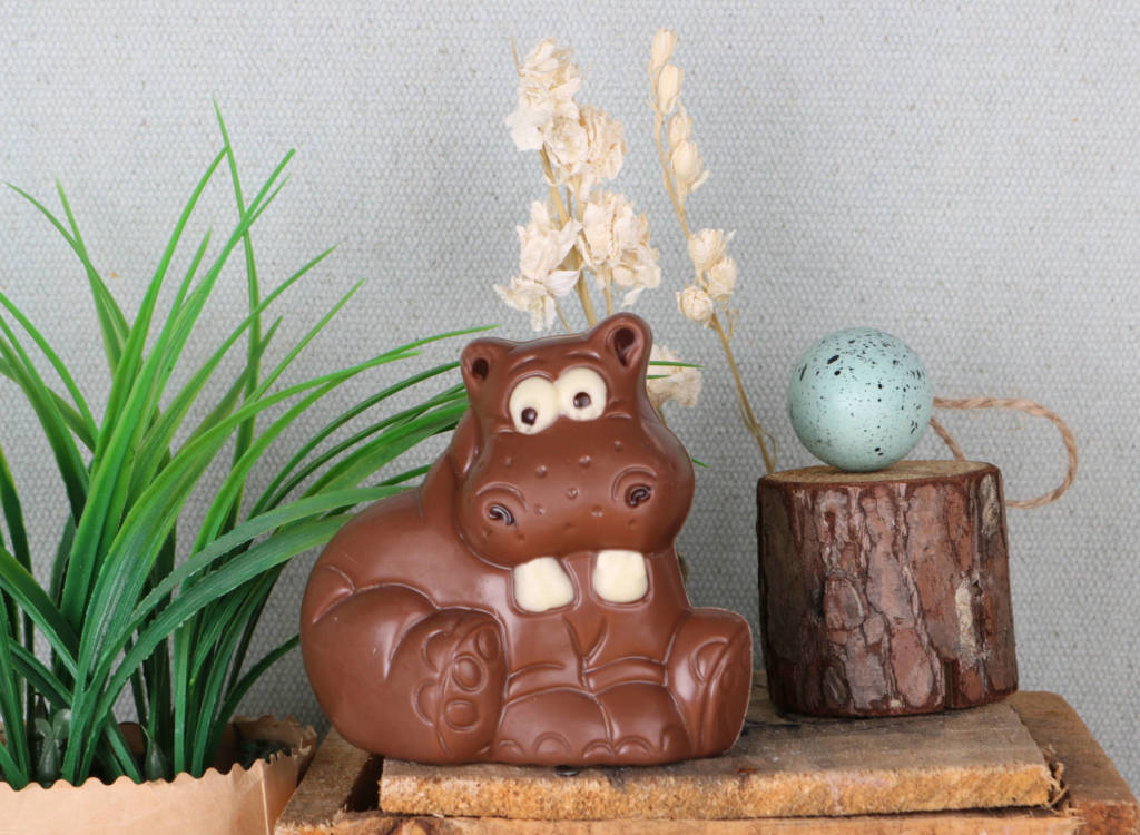 Hippopotame dans la rivière