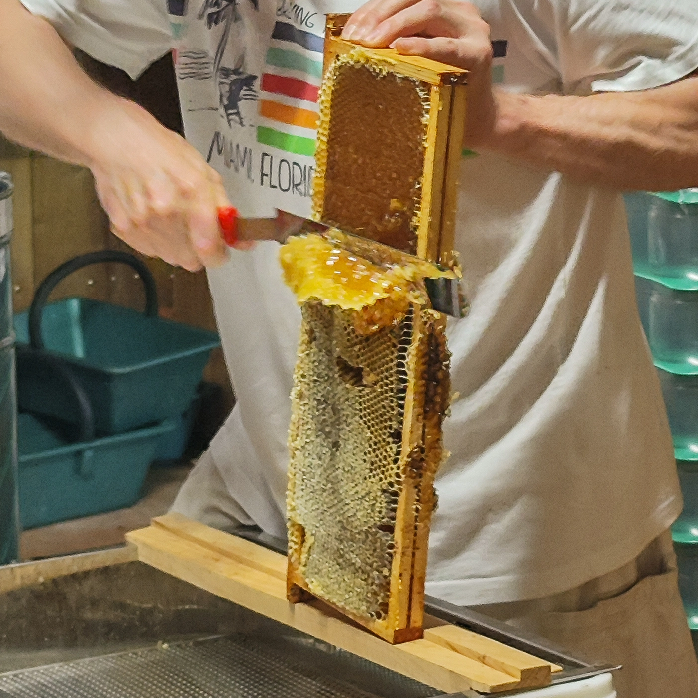 Extraction de miel - visite apiculteur confiserie pinson